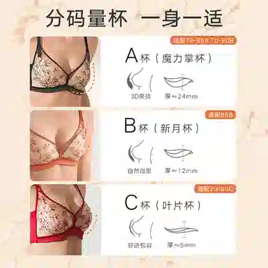 曼妮芬 植物花卉网纱小胸聚拢舒适收副乳文胸 女款