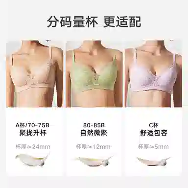 曼妮芬 舒适无钢圈性感蕾丝小胸聚拢胸罩文胸 女款