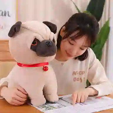 20cm30cm40cm