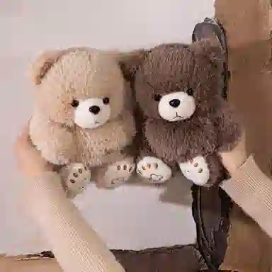 20cm25cm