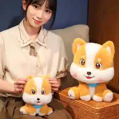 20cm30cm