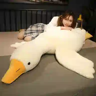90cm130cm160cm190cm