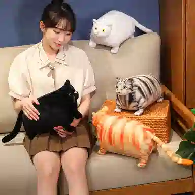 30cm50cm