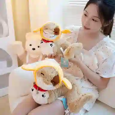 20cm28cm