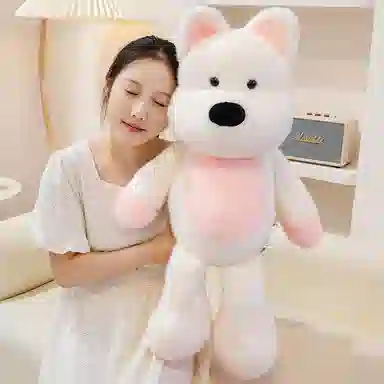 55cm75cm