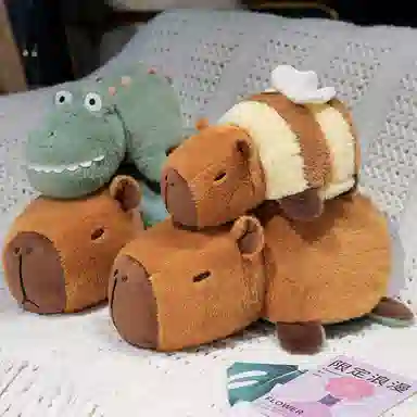 25cm35cm