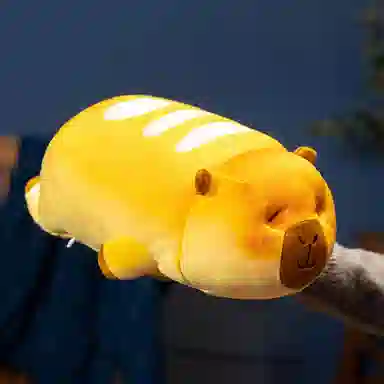 14cm24cm