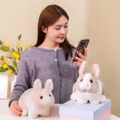 28cm