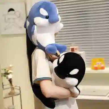 35cm50cm
