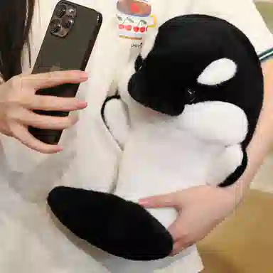 35cm50cm