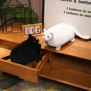 30cm50cm