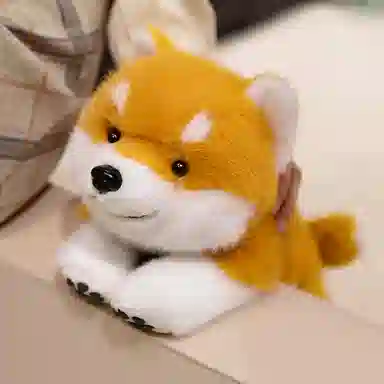 30cm45cm60cm