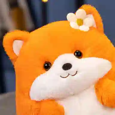 23cm