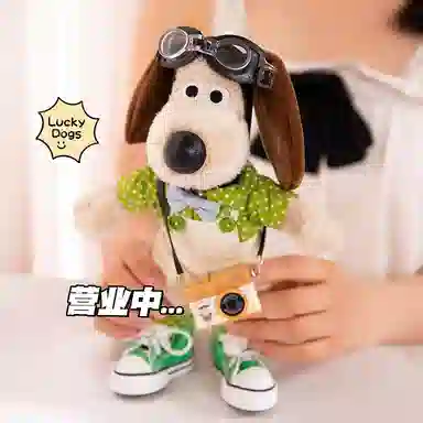 23cm