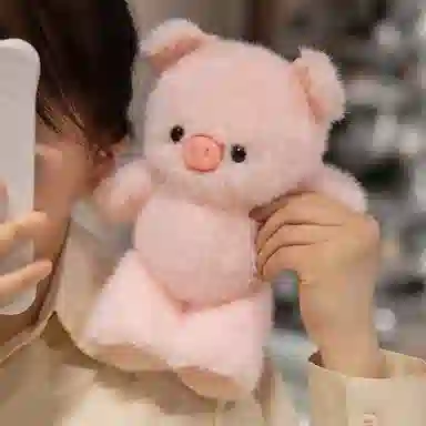 25cm