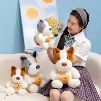 25cm35cm