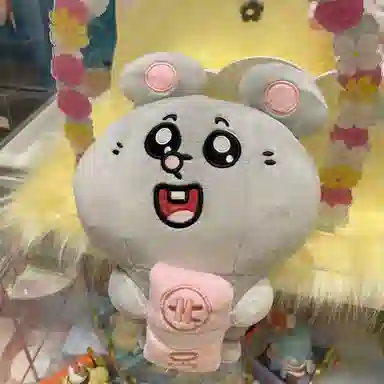 26cm