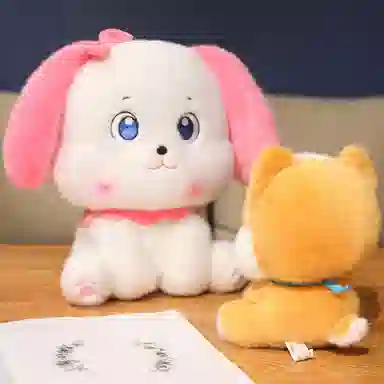 20cm30cm