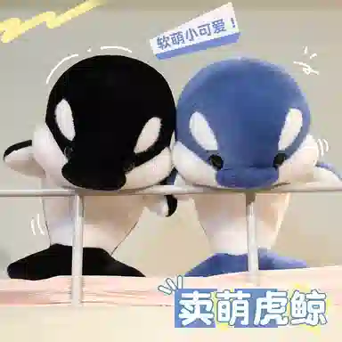 35cm50cm