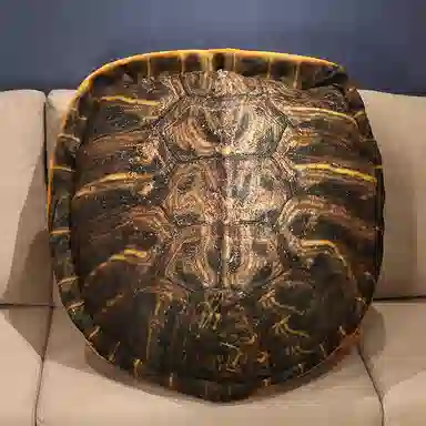 100cm