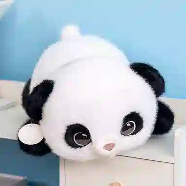 50cm60cm