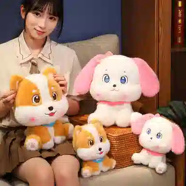 20cm30cm
