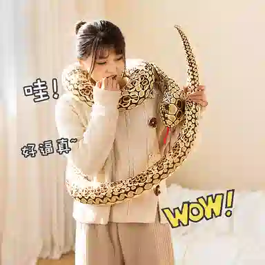 170cm240cm