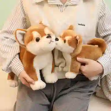 25cm35cm