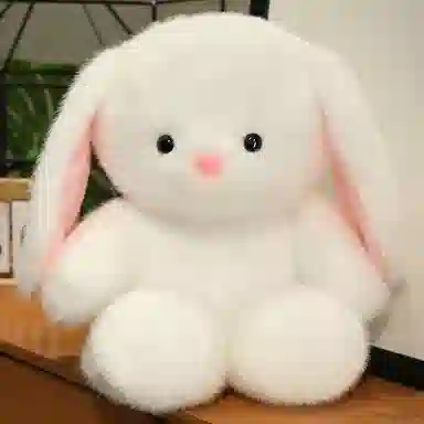 50cm