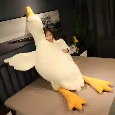 90cm130cm160cm190cm