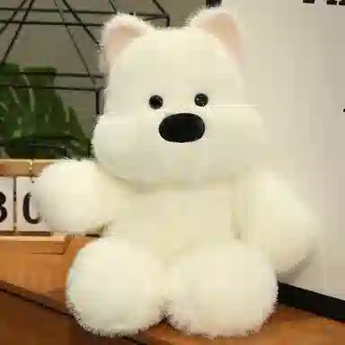 50cm