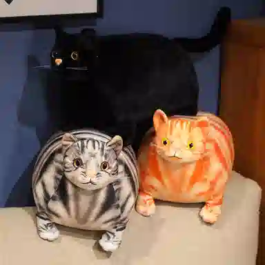 30cm50cm