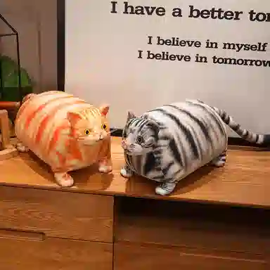 30cm50cm