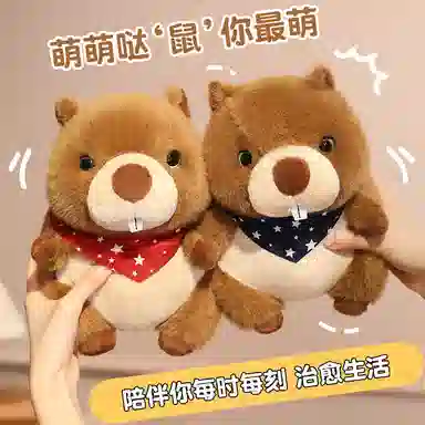 22cm30cm45cm