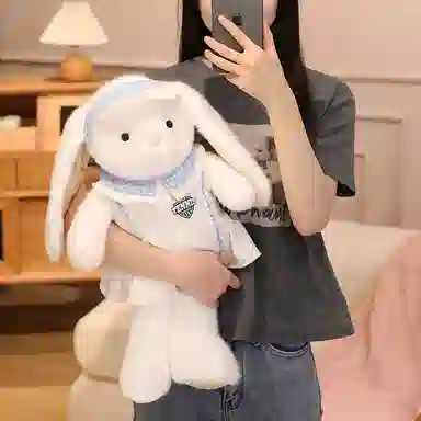 40cm53cm