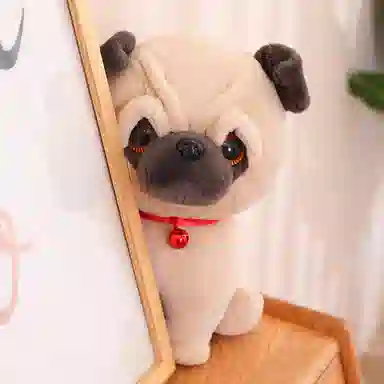 20cm30cm40cm