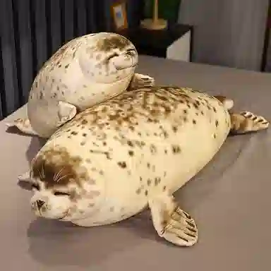 35cm50cm85cm120cm