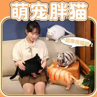 30cm50cm