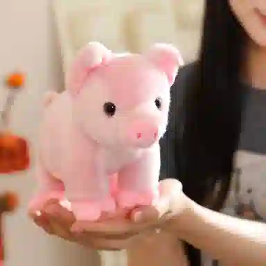 20cm