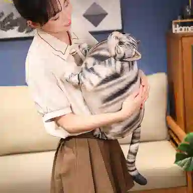 30cm50cm