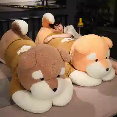 90cm110cm130cm160cm