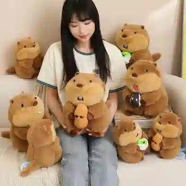 22cm30cm