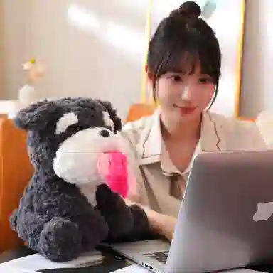 21cm29cm40cm