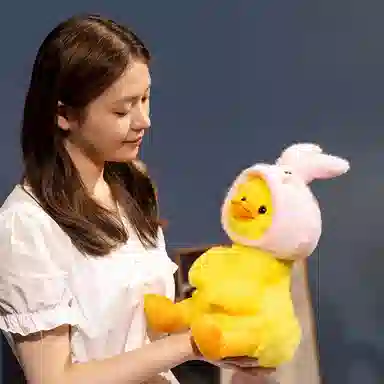 23cm30cm