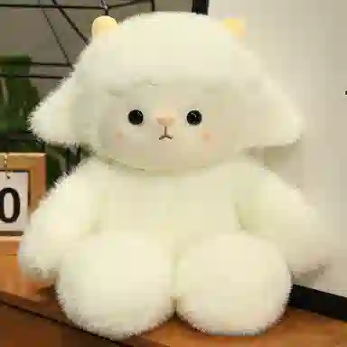 50cm