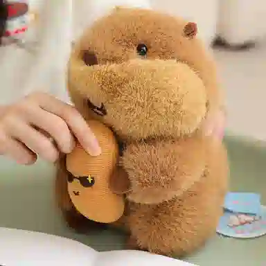 22cm30cm
