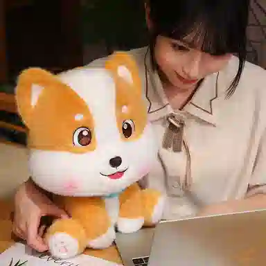 20cm30cm