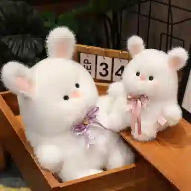 25cm40cm50cm