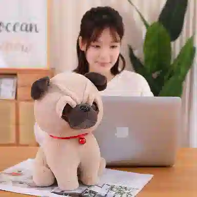 20cm30cm40cm