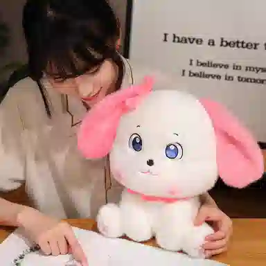 20cm30cm